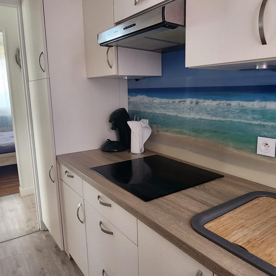 Kitchen or kitchenette, minibar, stove