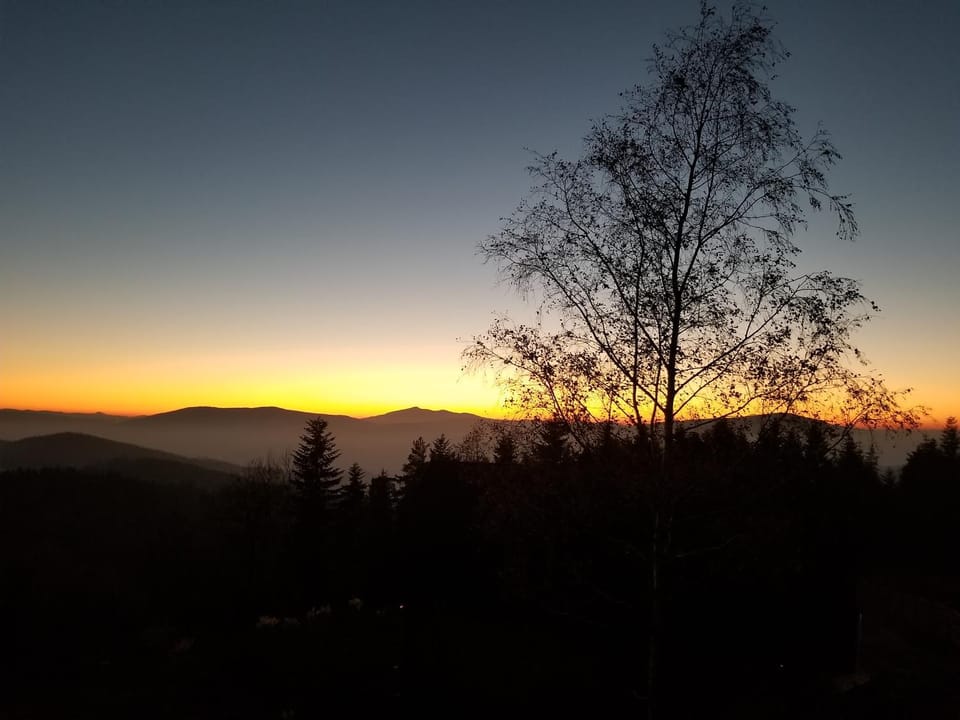 Mountain view