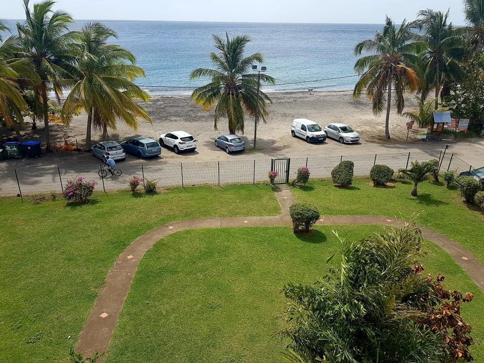 Garden, Garden view, Sea view