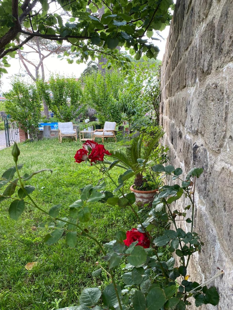 Le Dimax Bed and Breakfast in Sant Agnello