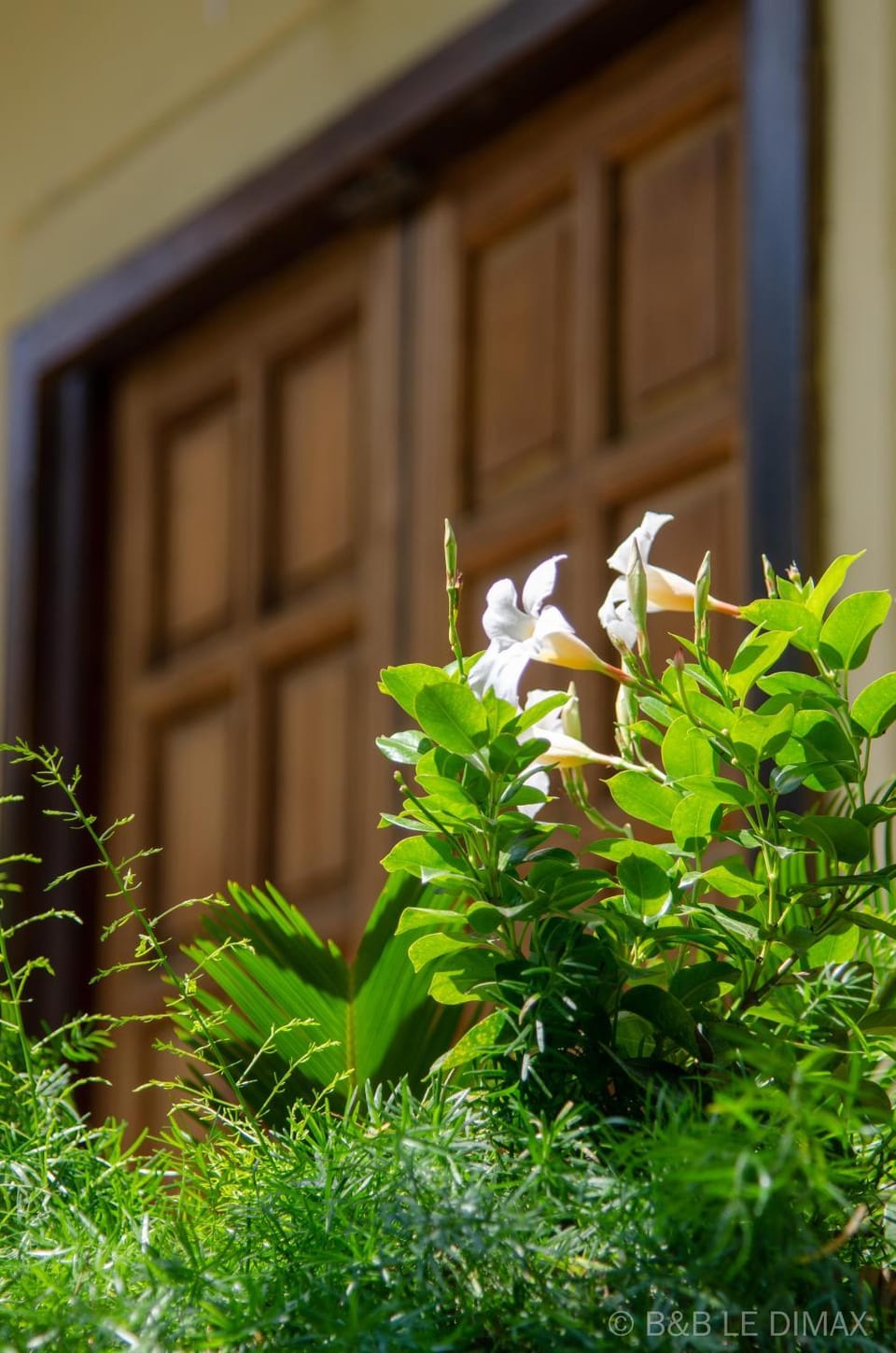 Property building, Patio, Facade/entrance, Garden
