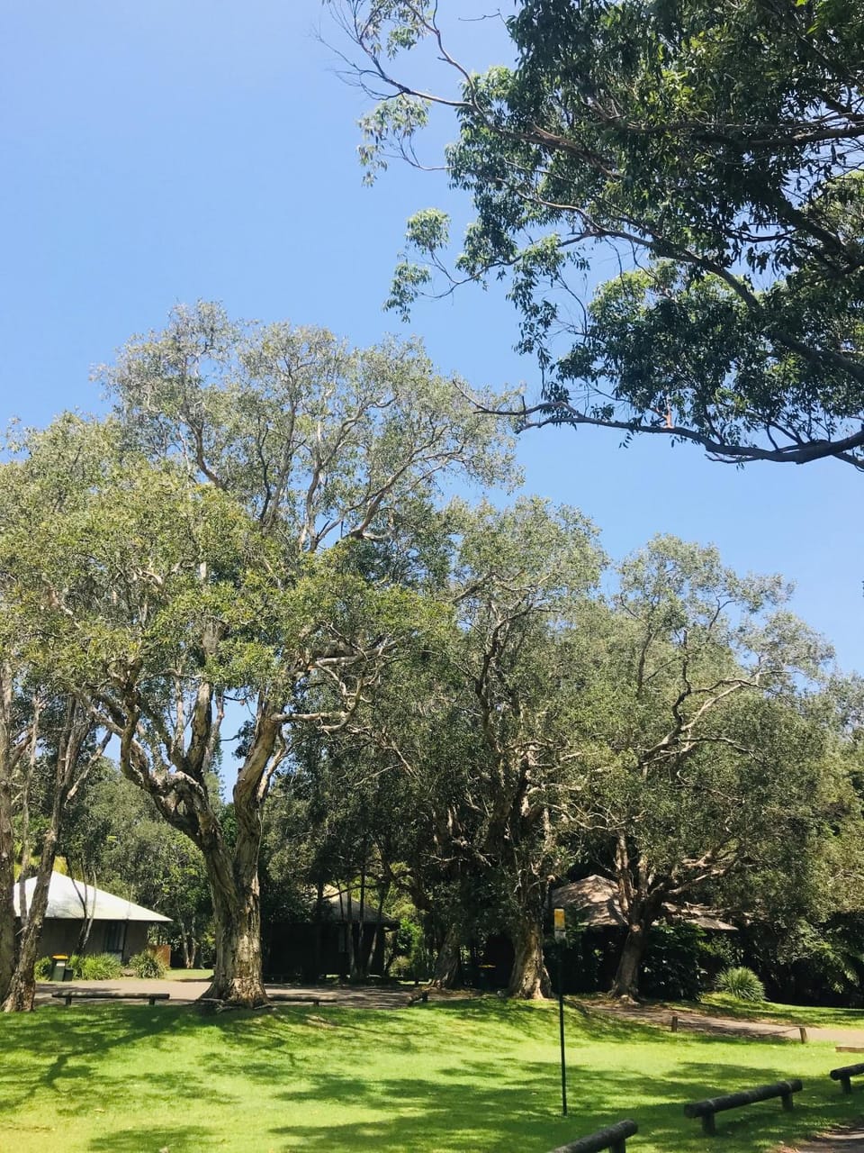 Garden, Garden view