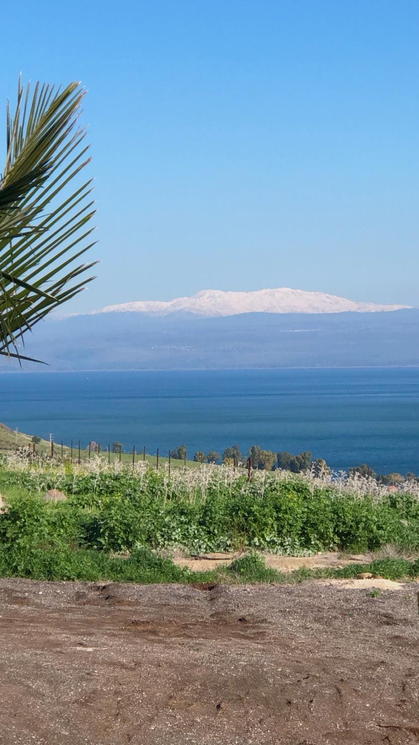 Sea view