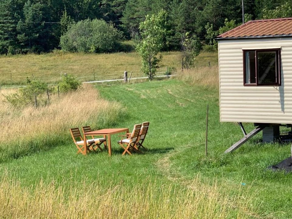 Natural landscape, Seating area, Garden view, hair dresser