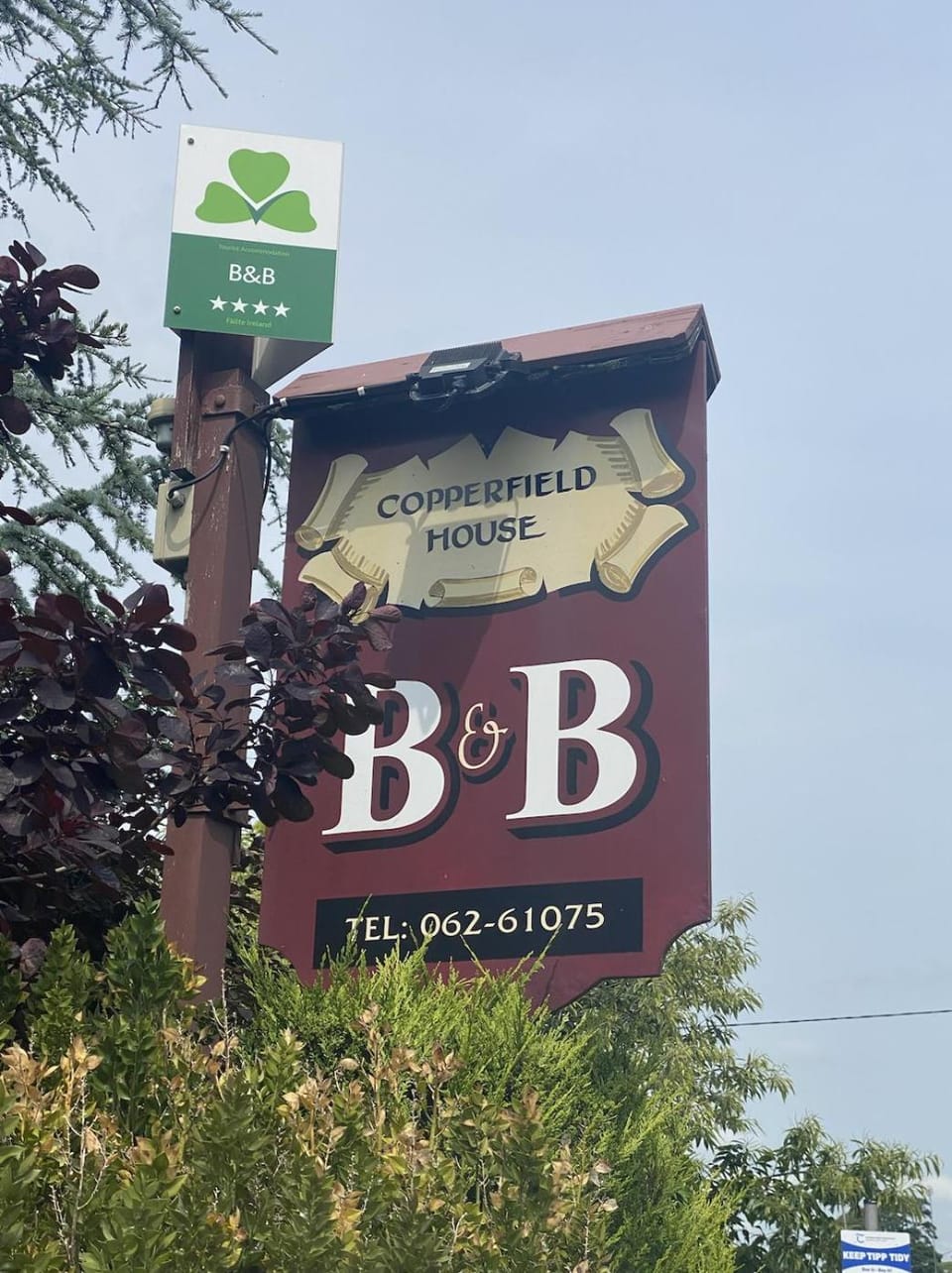 copperfield house Bed and Breakfast in Co. Tipperary, Ireland
