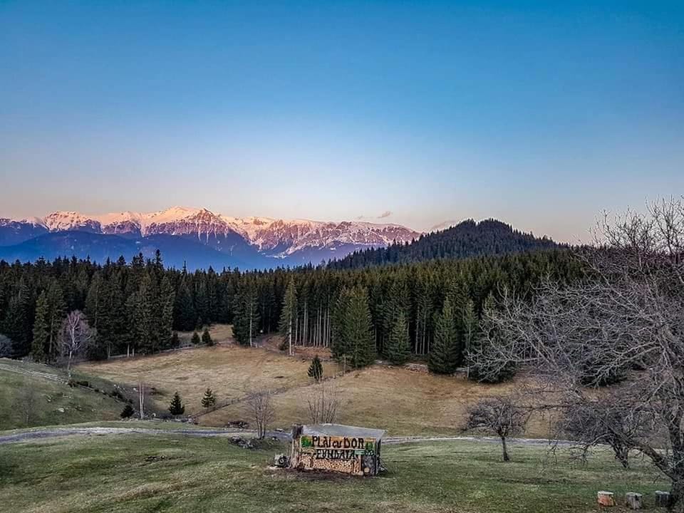 Plai cu Dor Fundata Bed and Breakfast in Brașov County