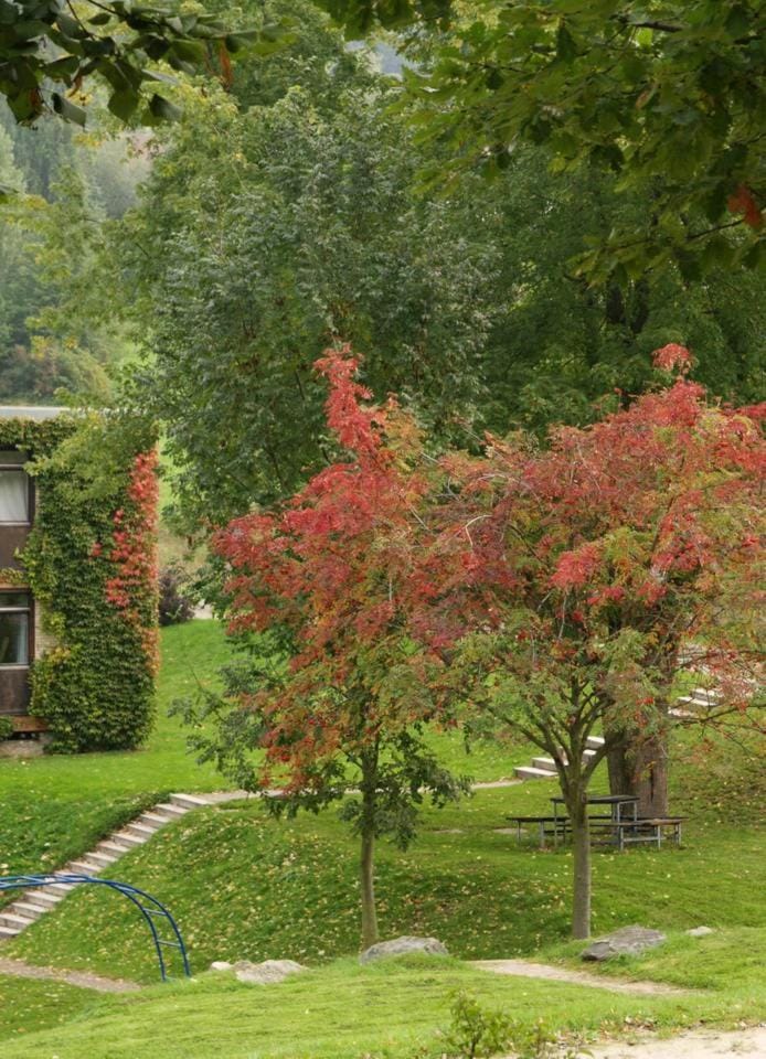 Waldblick Appartement Inn in Hesse