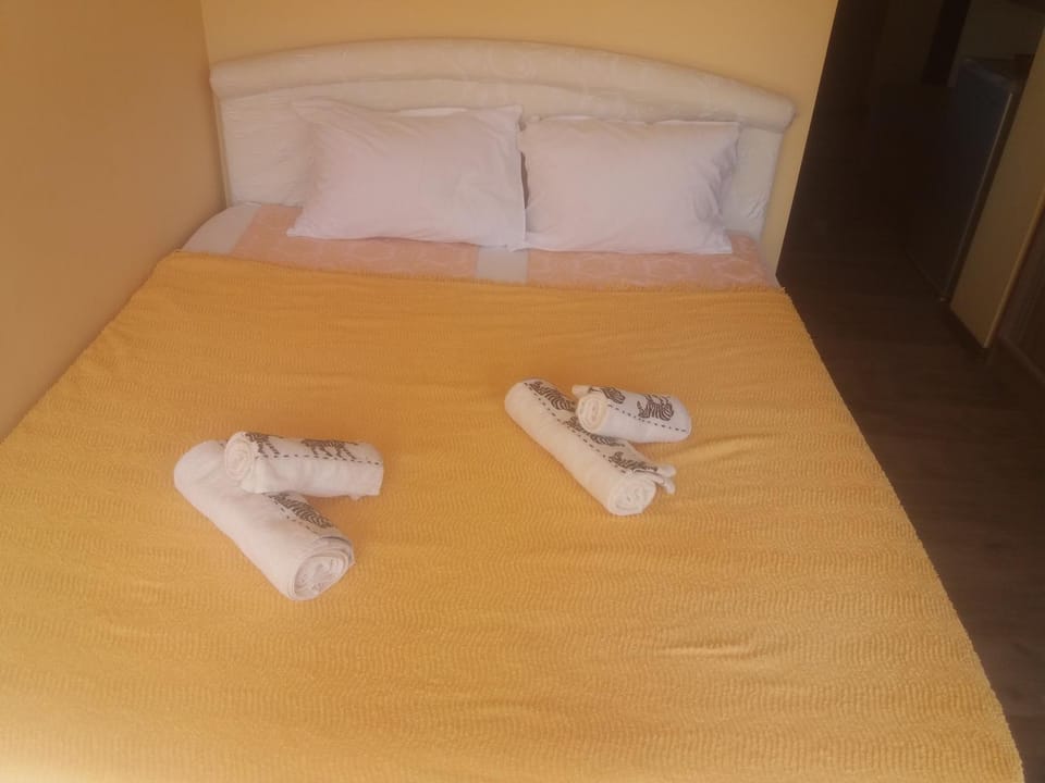 Studio Lux Apartment in Pleven