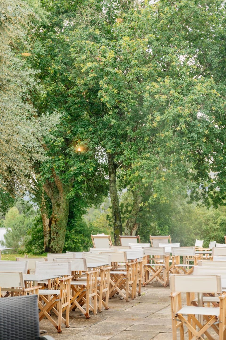 Patio, Restaurant/places to eat