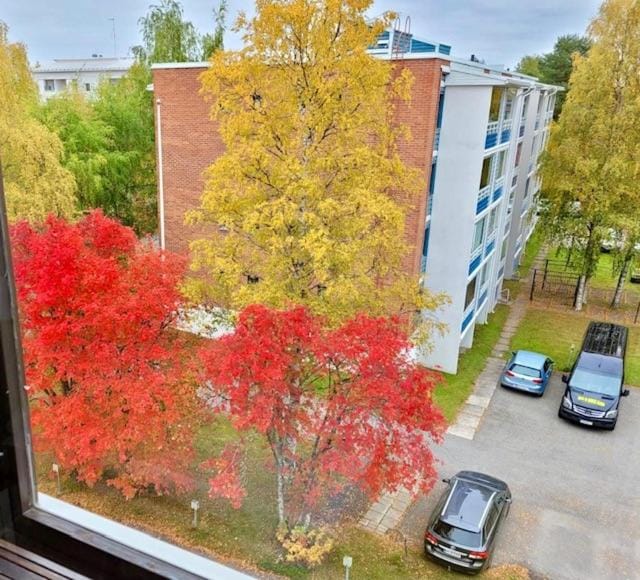 Day, Neighbourhood, Street view