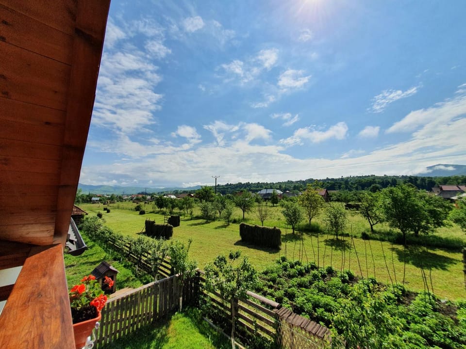 Day, Garden view