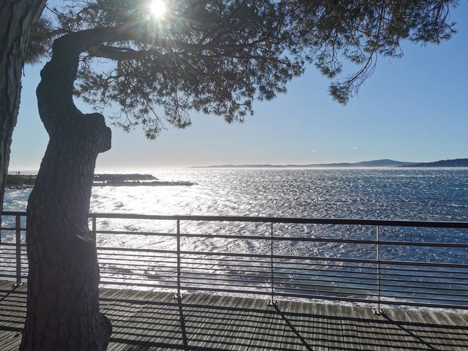 La Calanque du Boucharel Bed and Breakfast in Roquebrune-sur-Argens
