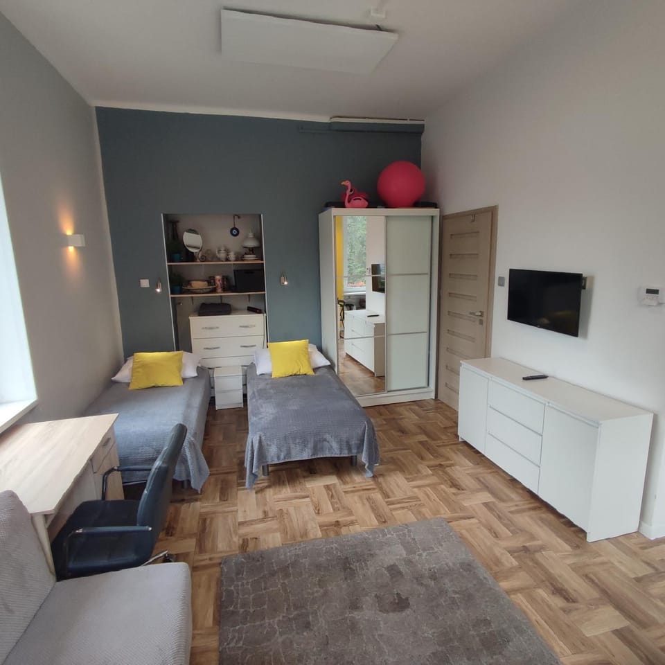 Bed, TV and multimedia, wardrobe