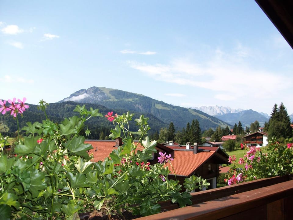 Alpenblick Apartment in Salzburgerland
