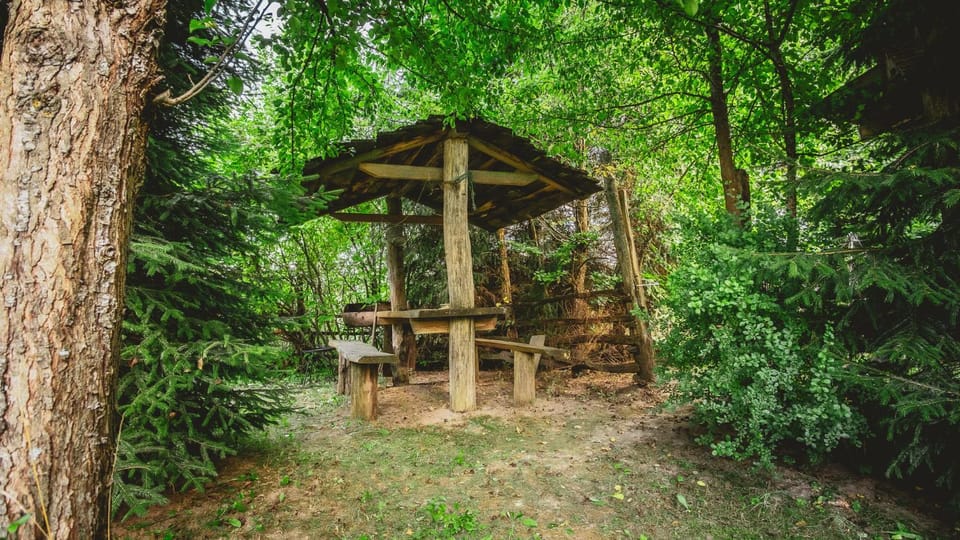 Natural landscape, BBQ facilities, Garden, pet friendly