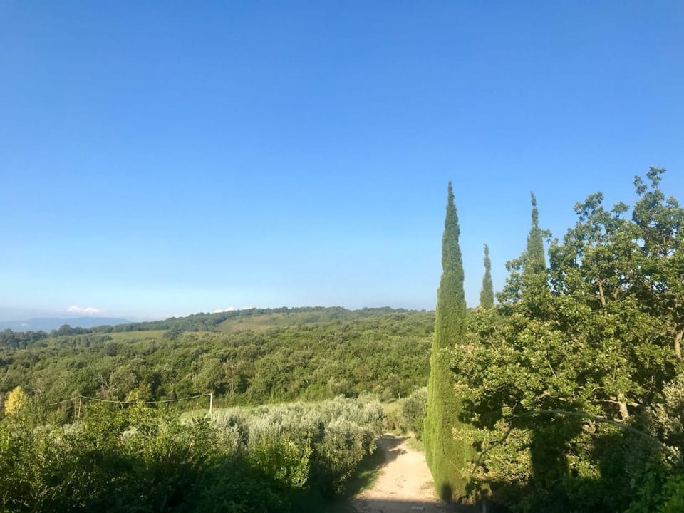 Natural landscape