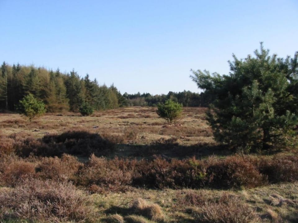 Ferienwohnung Strandzeit Cuxhaven Apartment in Cuxhaven