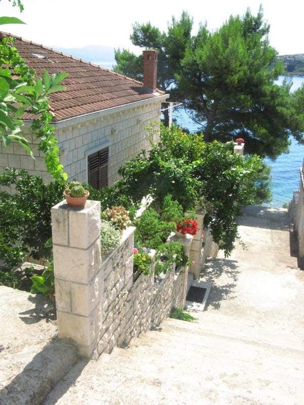 Property building, Garden view