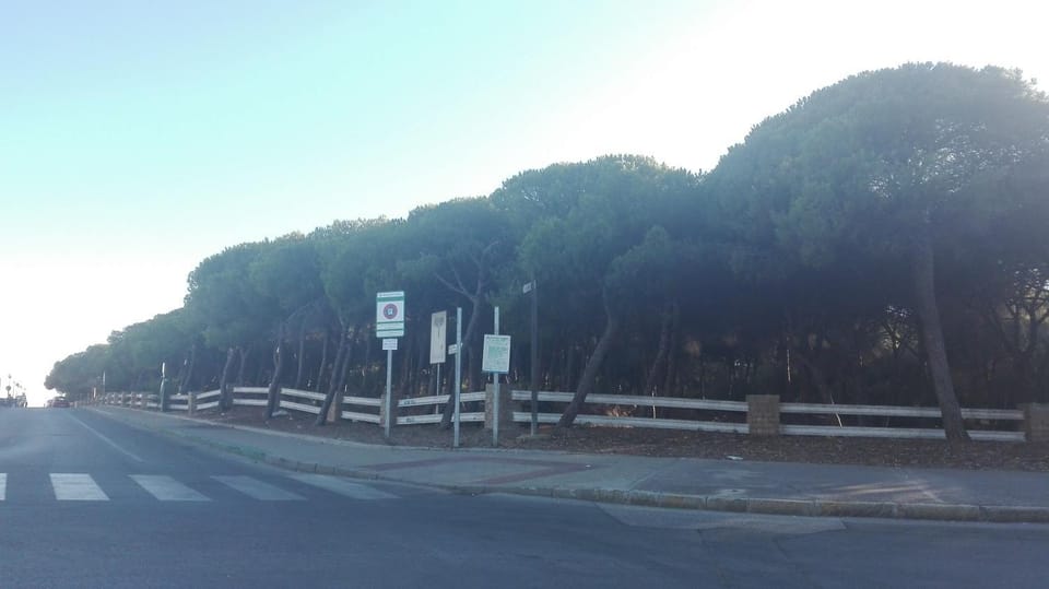 Casa Blanca House in Bajo Guadalquivir