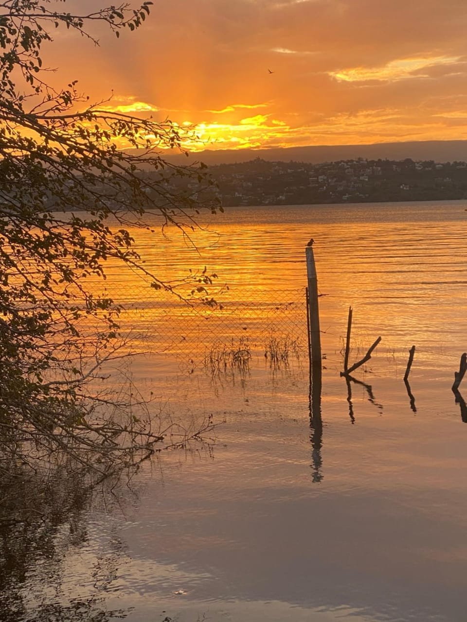 Lake view
