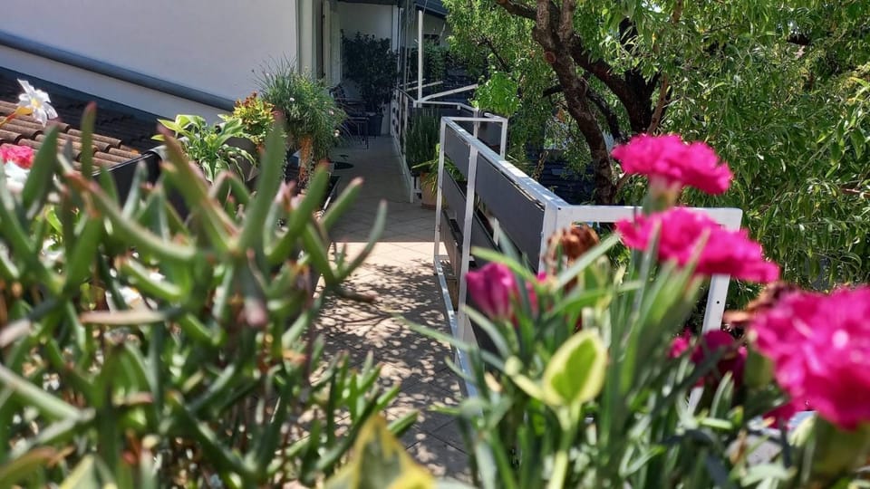 Facade/entrance, Day, Balcony/Terrace