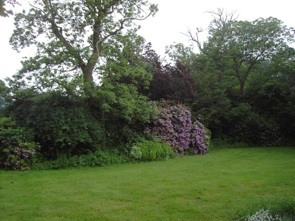 Property building, Garden, Other
