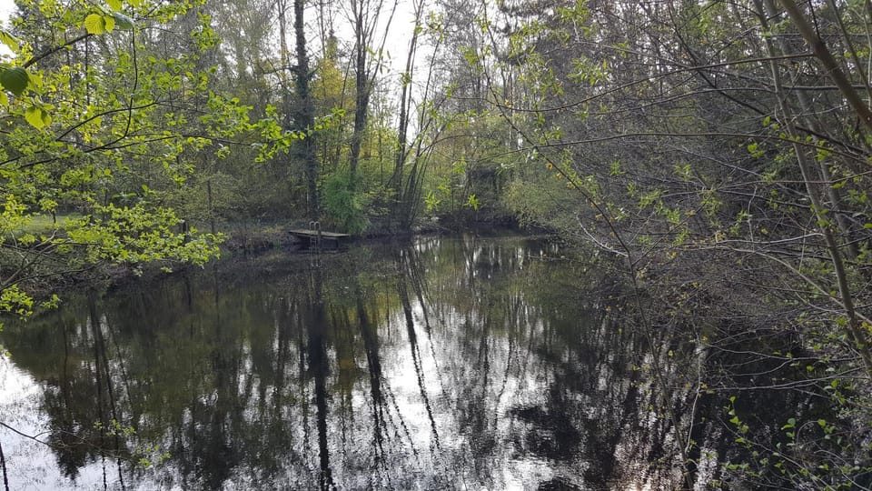 Natural landscape, Lake view