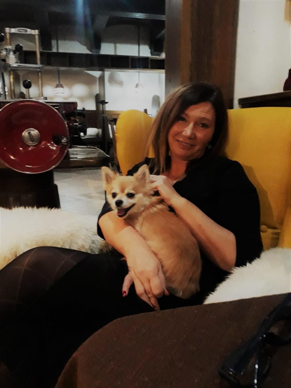 Staff, People, Lobby or reception, Lounge or bar, Pets