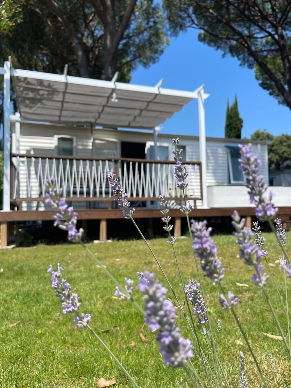 Camping Les Cigales Campground/ 
RV Resort in Mandelieu-La Napoule