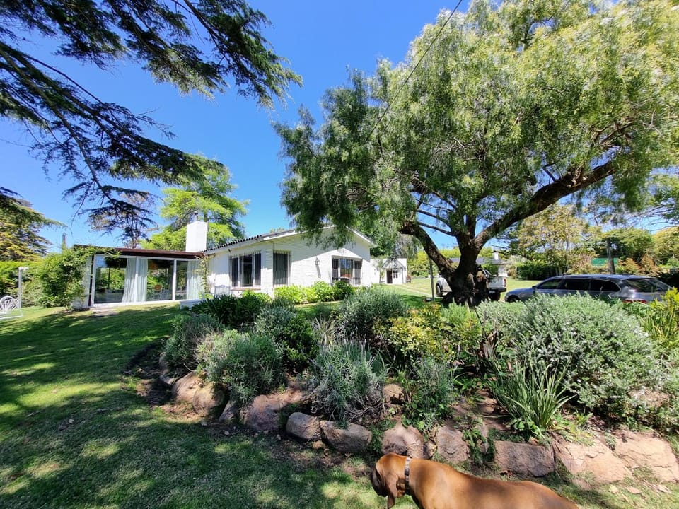 Property building, Garden, Garden