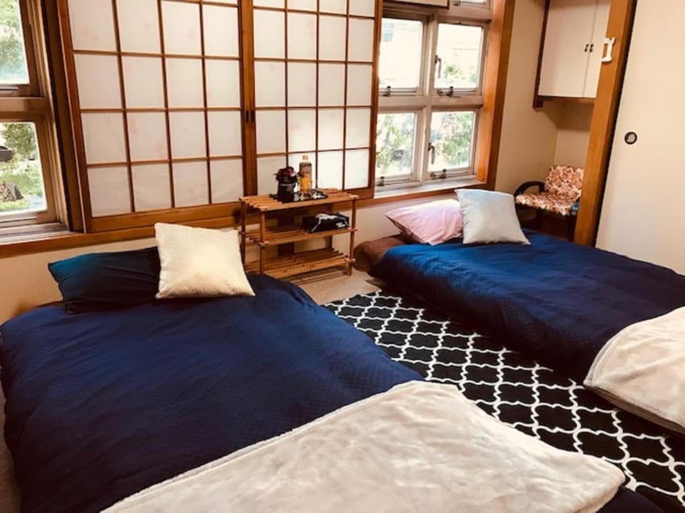 Koi Koi Apartment in Japan
