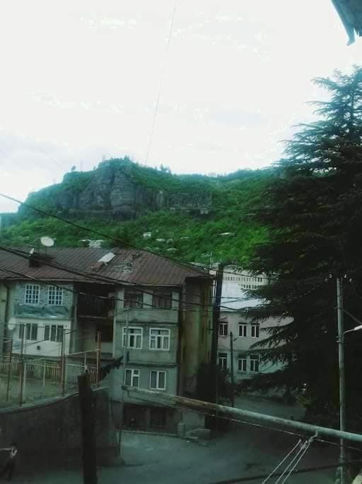 hotel Apartment in Georgia