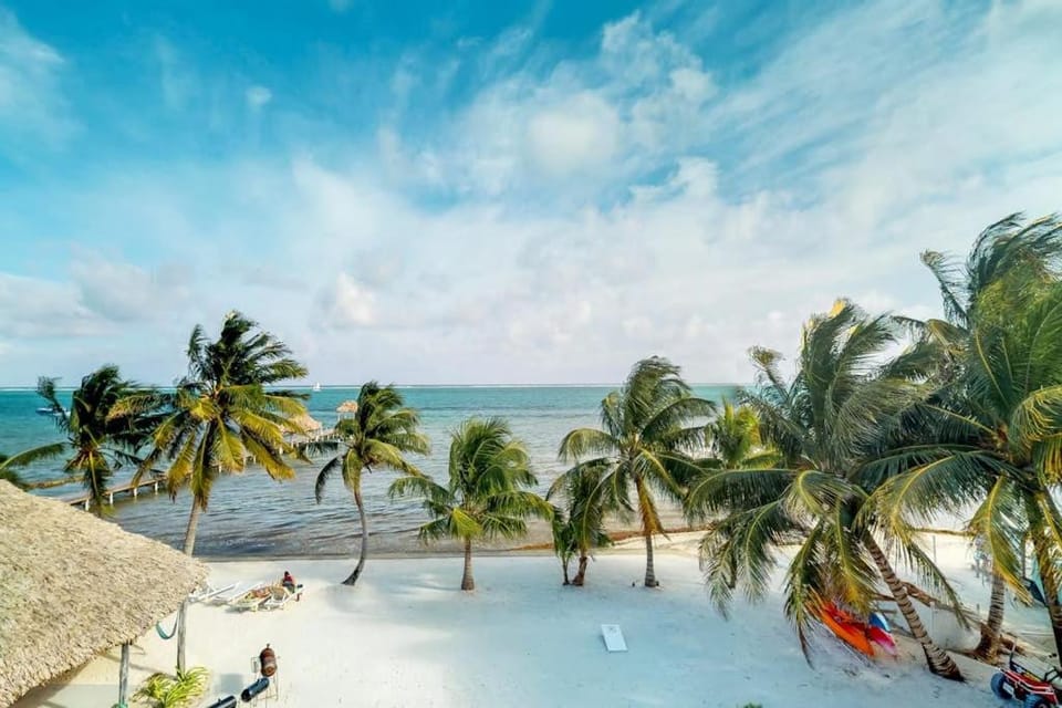 Caribbean Lily @ Caribe Island Apartment in Belize District