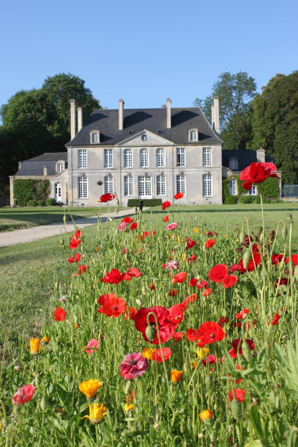 Property building, Facade/entrance, Garden view