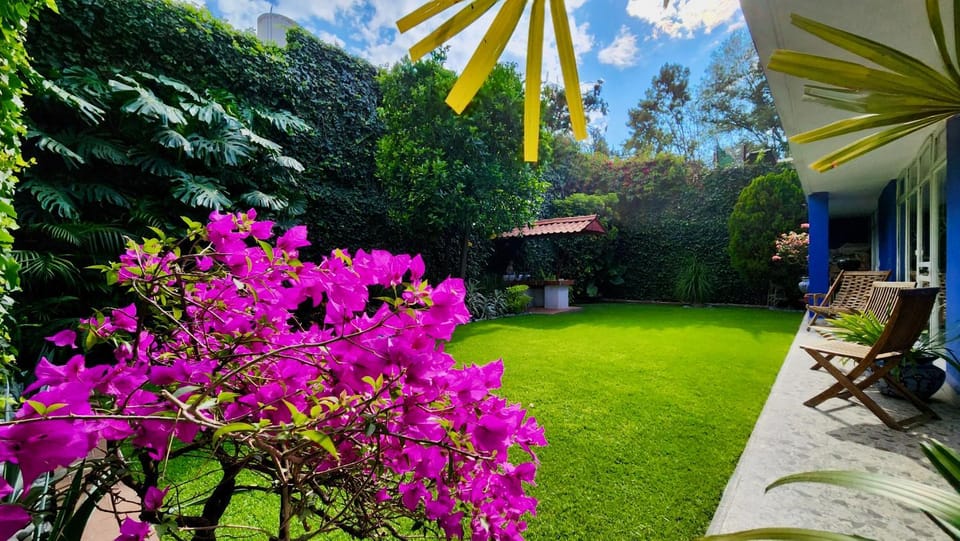 Spring, Day, Garden, Garden, Garden view