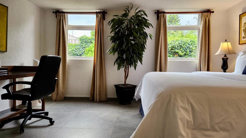 Bed, Seating area, Bedroom