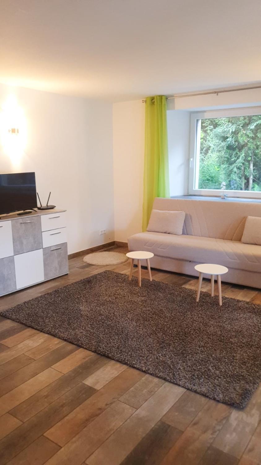 Villa Birkenfeld Apartment in Pforzheim