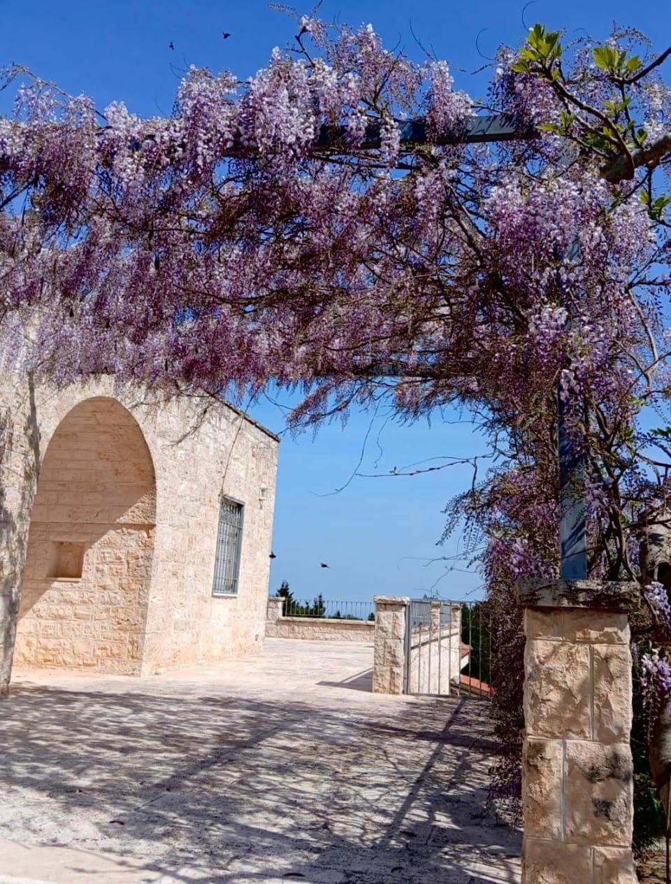 Le Lantane Apartment in Province of Taranto