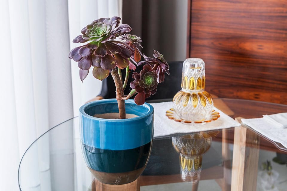 Villa Lóios by Casa do Conto Apartment in Porto