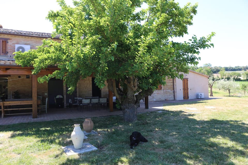 BBQ facilities, Balcony/Terrace, Banquet/Function facilities, Animals, Pets