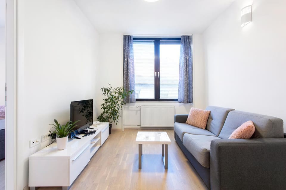TV and multimedia, Living room, Photo of the whole room, Decorative detail, Seating area