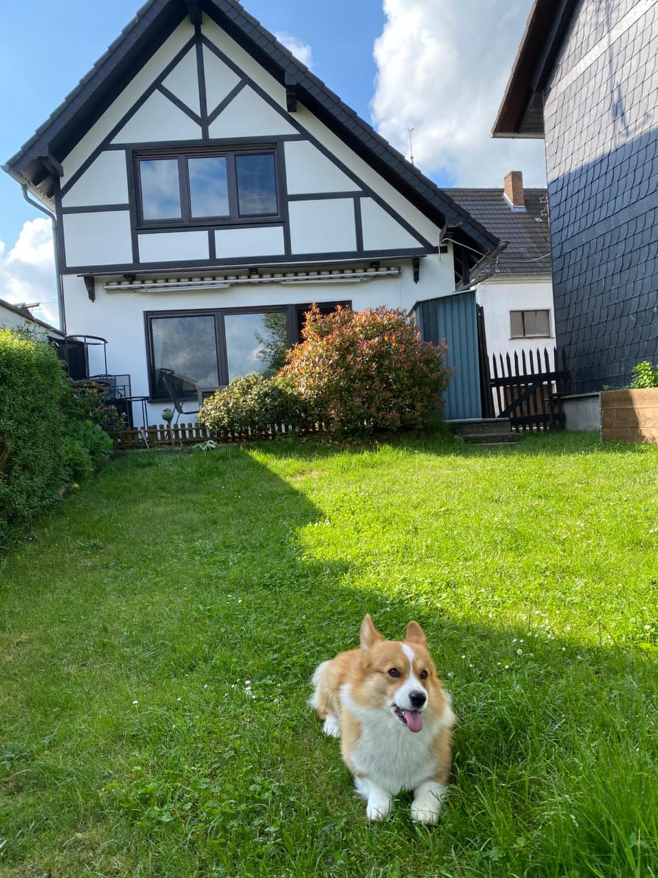 Eifel Ferienhaus Luna House in Ahrweiler