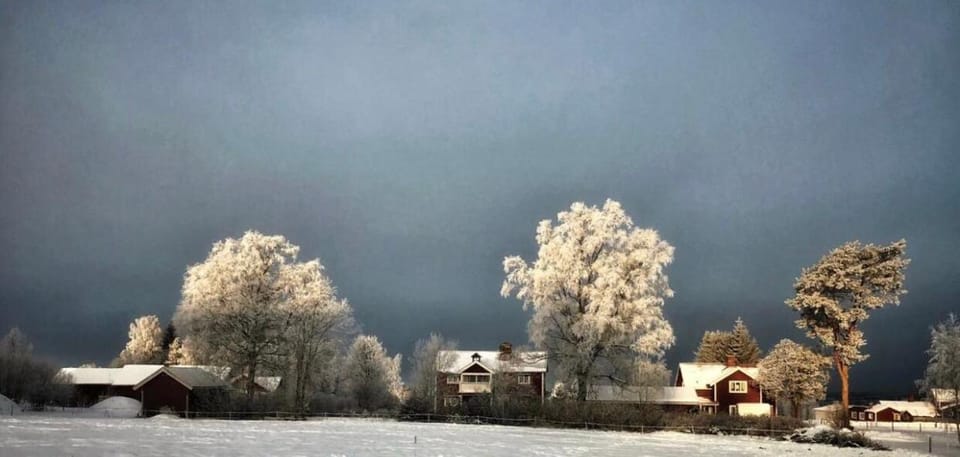 Det Gamla Panget Farm Stay in Sweden