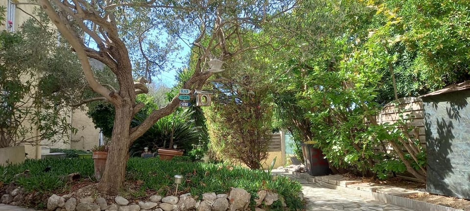 Garden view