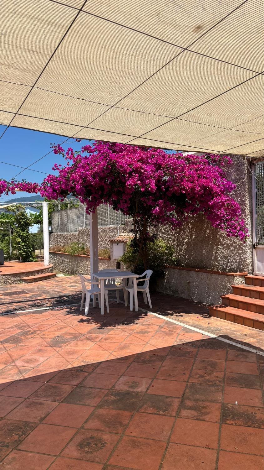 Spring, Day, Garden, Garden view