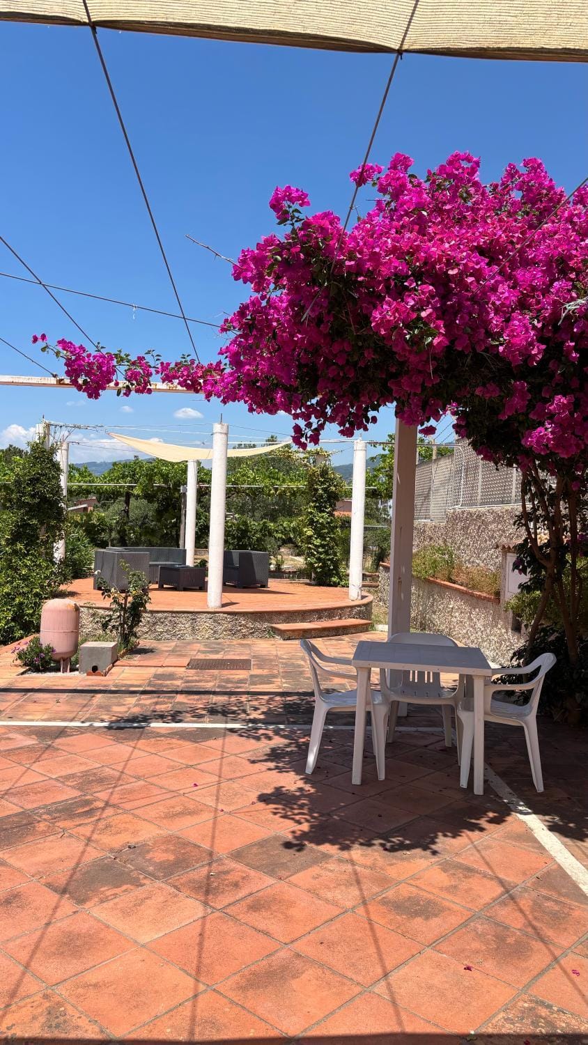Spring, Garden, View (from property/room)