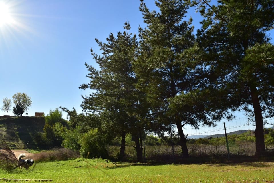 Natural landscape