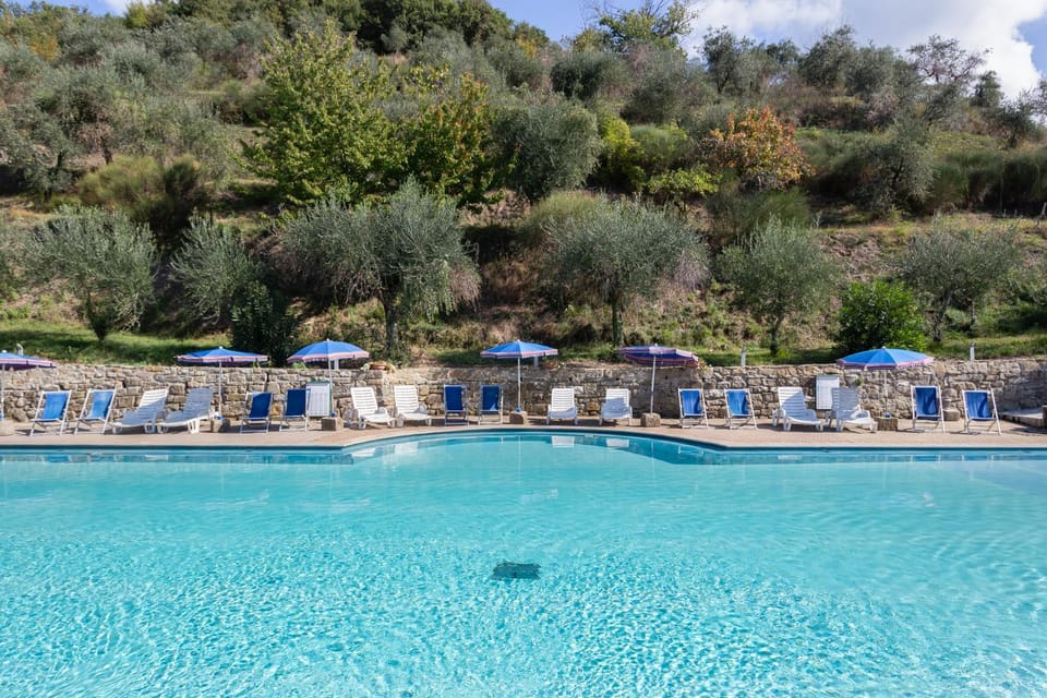 Swimming pool, Swimming pool