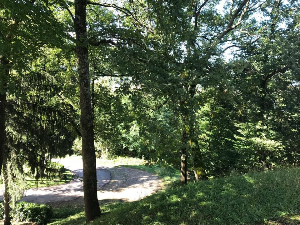 View (from property/room)