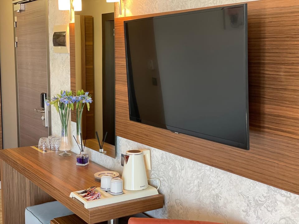 TV and multimedia